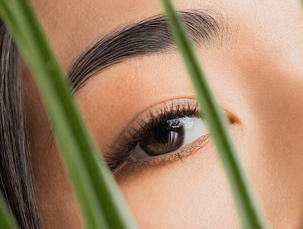 آلوئه ورا برای تقویت مژه